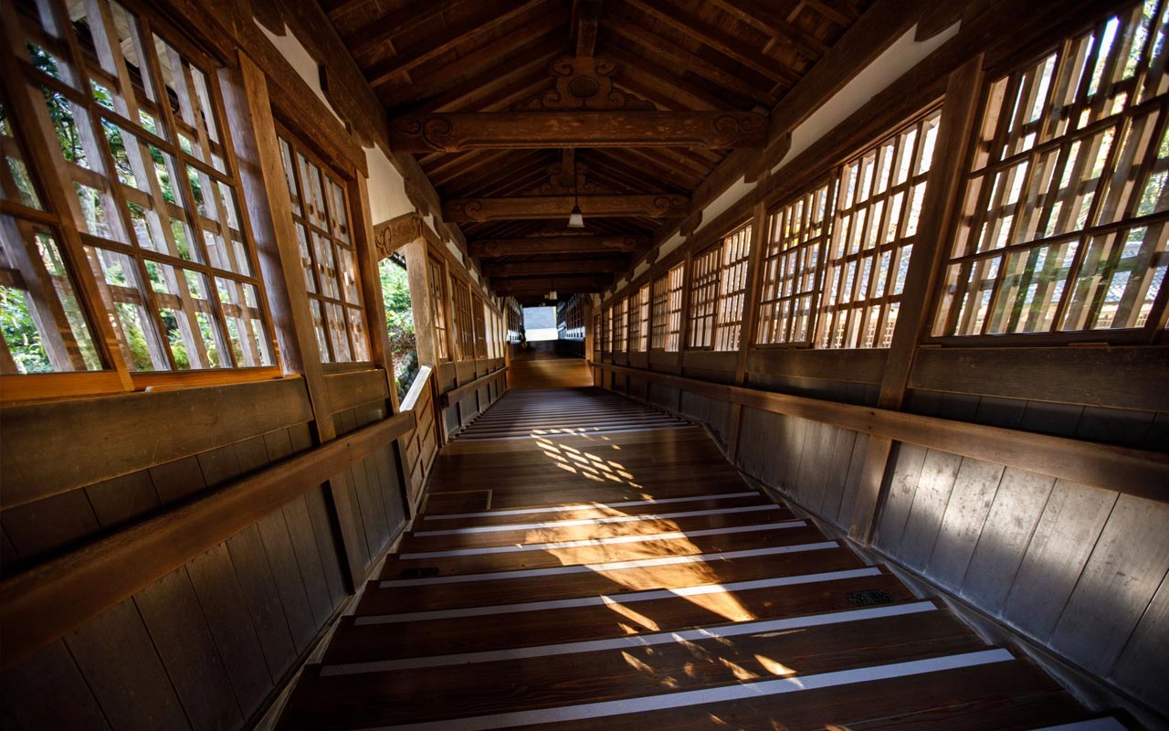 A Comprehensive Overview of the History of Zen Buddhism